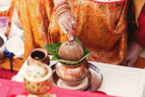 Symbolism of Fig Leaves in Culture and Religion